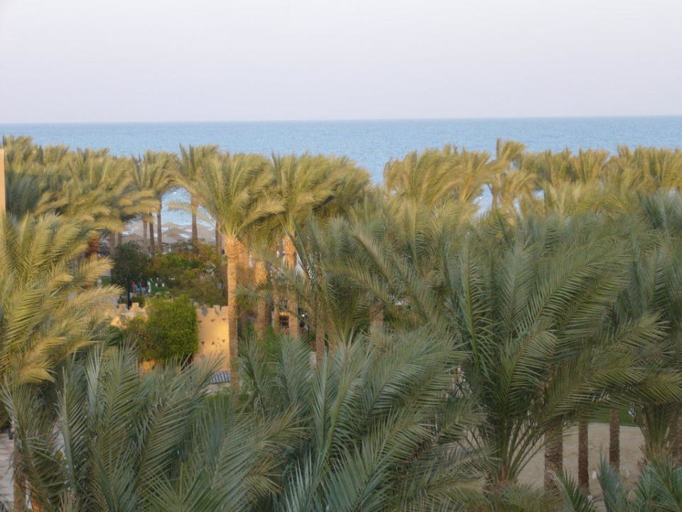 Blick vom Balkon Makadi Spa - Adults only
