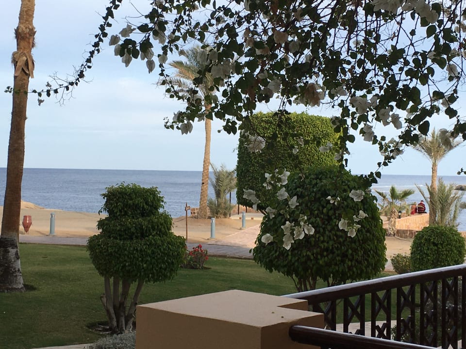 Ausblick Steigenberger Coraya Beach - Adults only