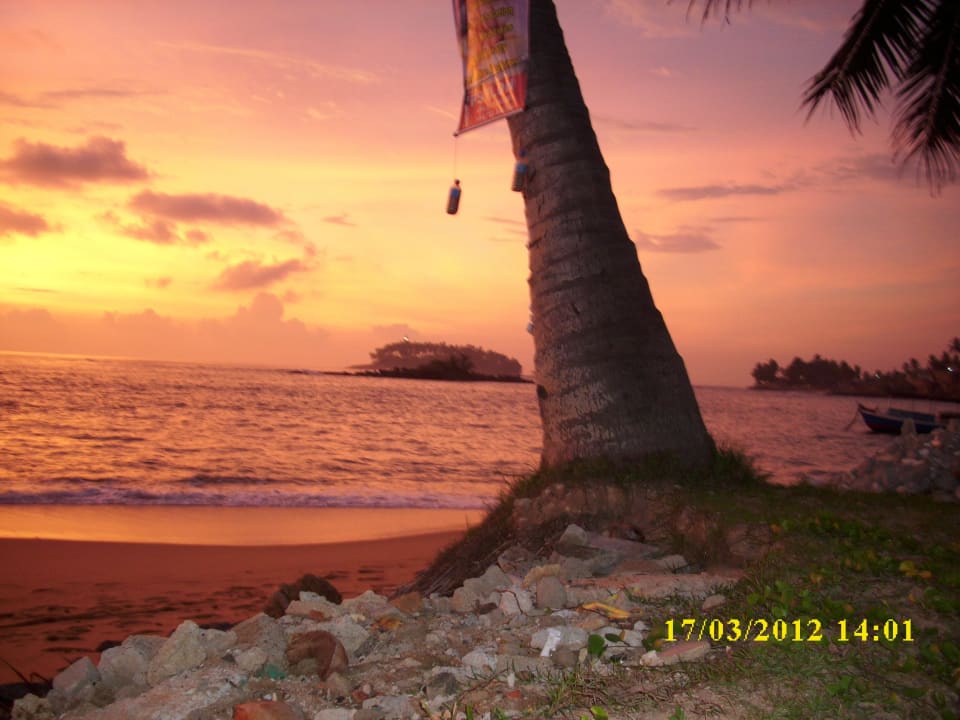 Wie gemalt Earl’s Reef Beruwala