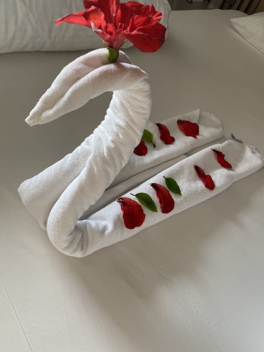 Zimmer Arycanda Kirman Premium