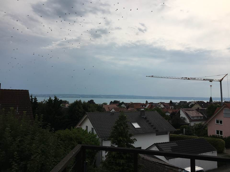Ausblick Gästehaus Hagnauer Hof