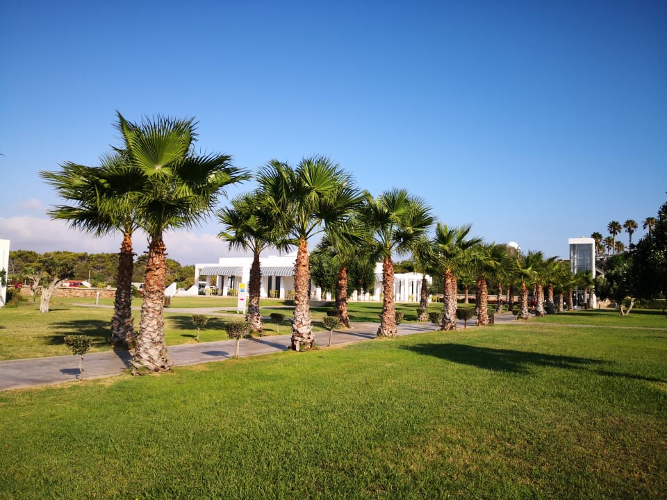 Gartenanlage Atlantica Plimmiri