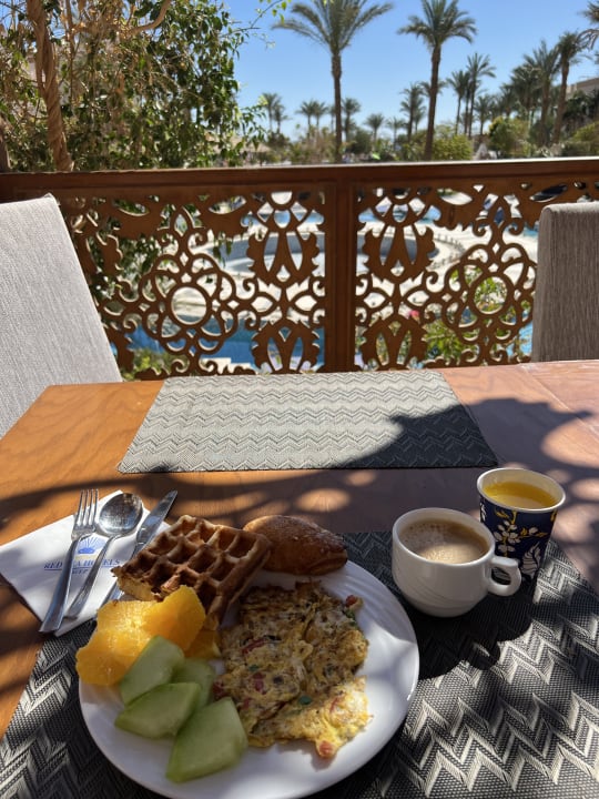 Gastro The Grand Palace - Adults only