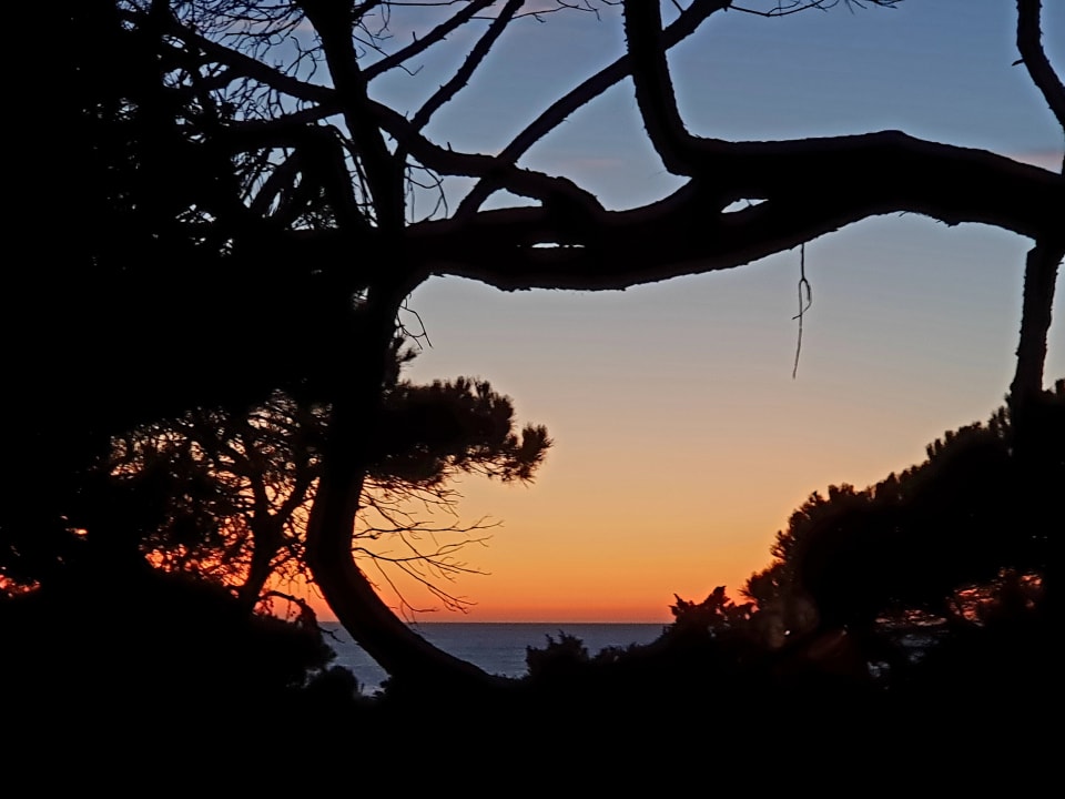 Gartenanlage Valentin Sancti Petri