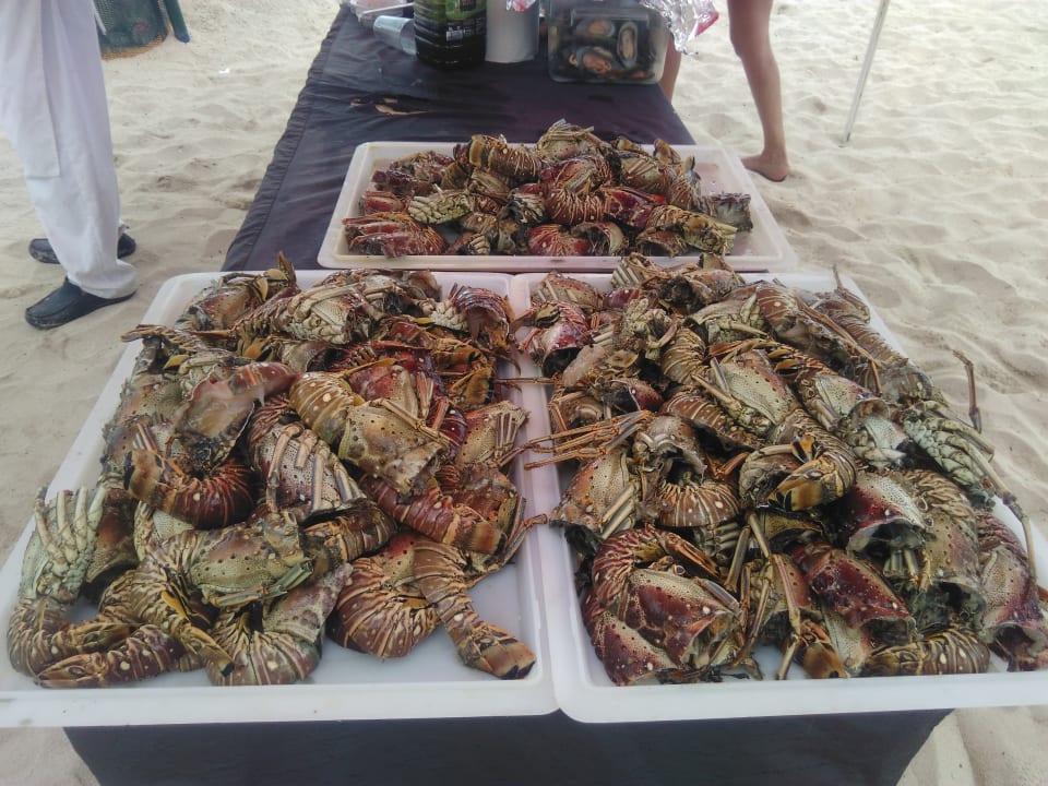 Gastro Iberostar Selection Hacienda Dominicus