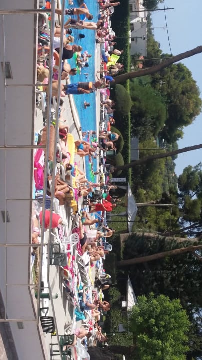 Überfüllung am Pool BQ Belvedere Hotel