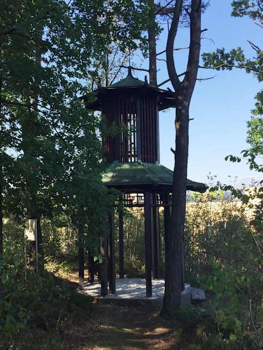 Didi Tempel Spirit & SPA Hotel Birkenhof am Elfenhain