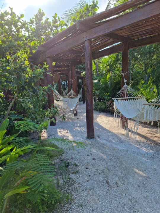 Gartenanlage Secrets Akumal Riviera Maya - Adults only