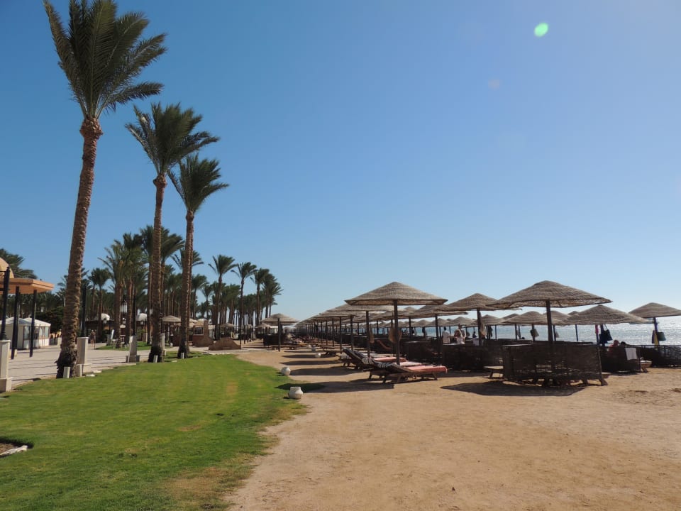 Strandbereich  Makadi Spa - Adults only