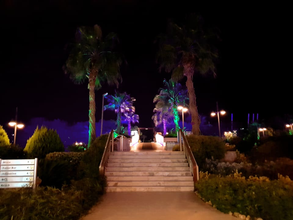 Gartenanlage Commodore Elite Suites & Spa - Adults only