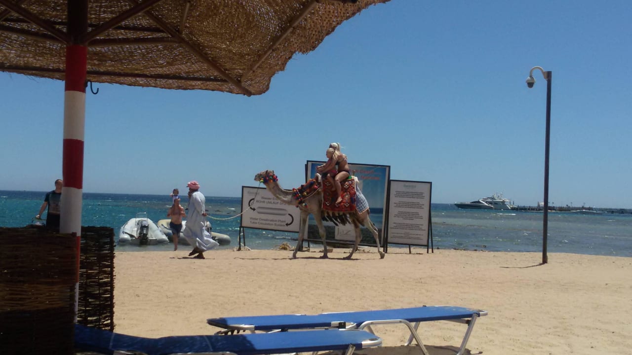 Hotelstrand ganz rechts Steigenberger Makadi Hotel - Adults only