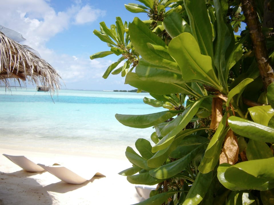 Blick auf Lagune Cinnamon Dhonveli Maldives