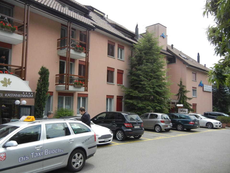 Blick vom Parkplatz zum Hotel Seehotel Kastanienbaum
