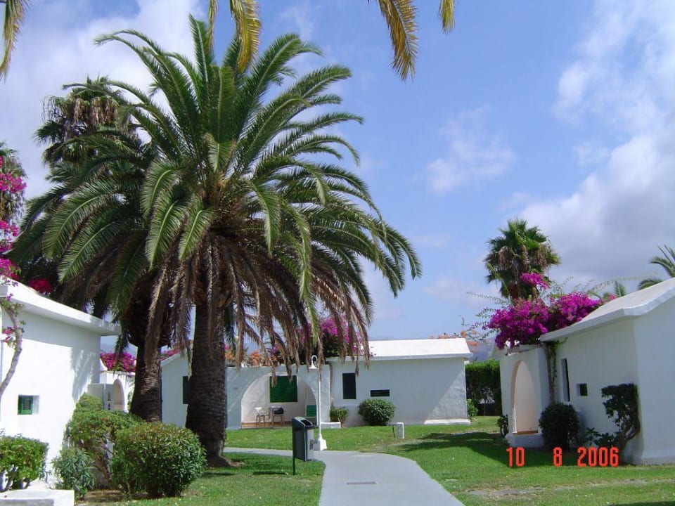 Gehweg zum Bungalow Canary Garden Club