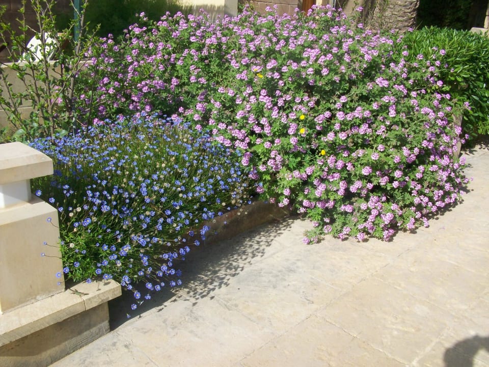 Garten Ta Cenc Hotel