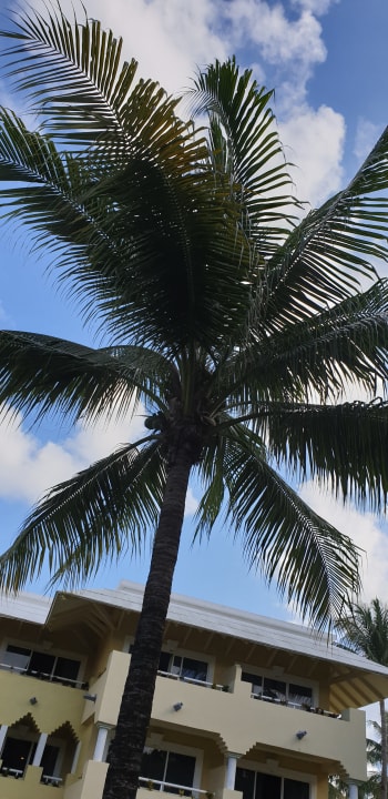 Gartenanlage Iberostar Waves Paraiso del Mar