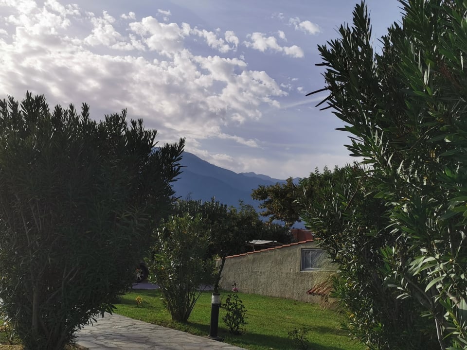 Gartenanlage alltoura Club Hotel Poseidon Palace