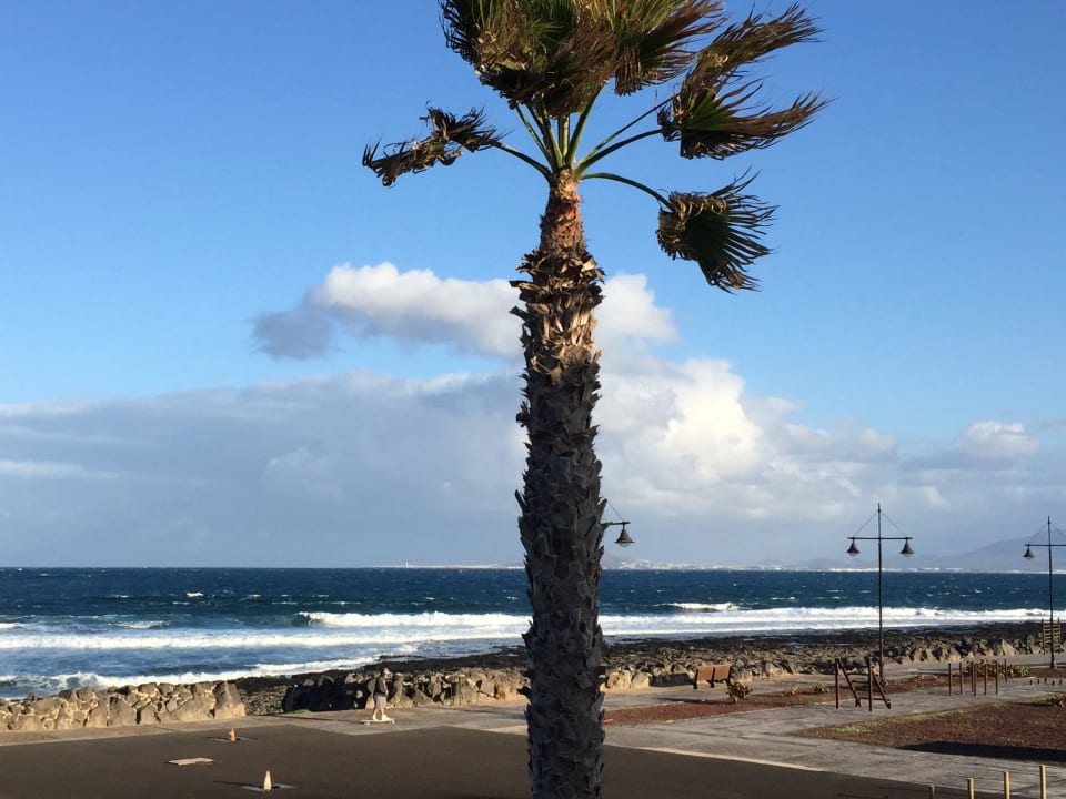 Meerblick vom Appartement aus -leider sehr windig  Apartamentos Hesperia Bristol Playa