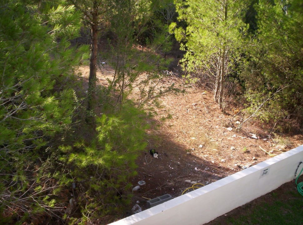 Nachbars garten Hotel Exagon Park