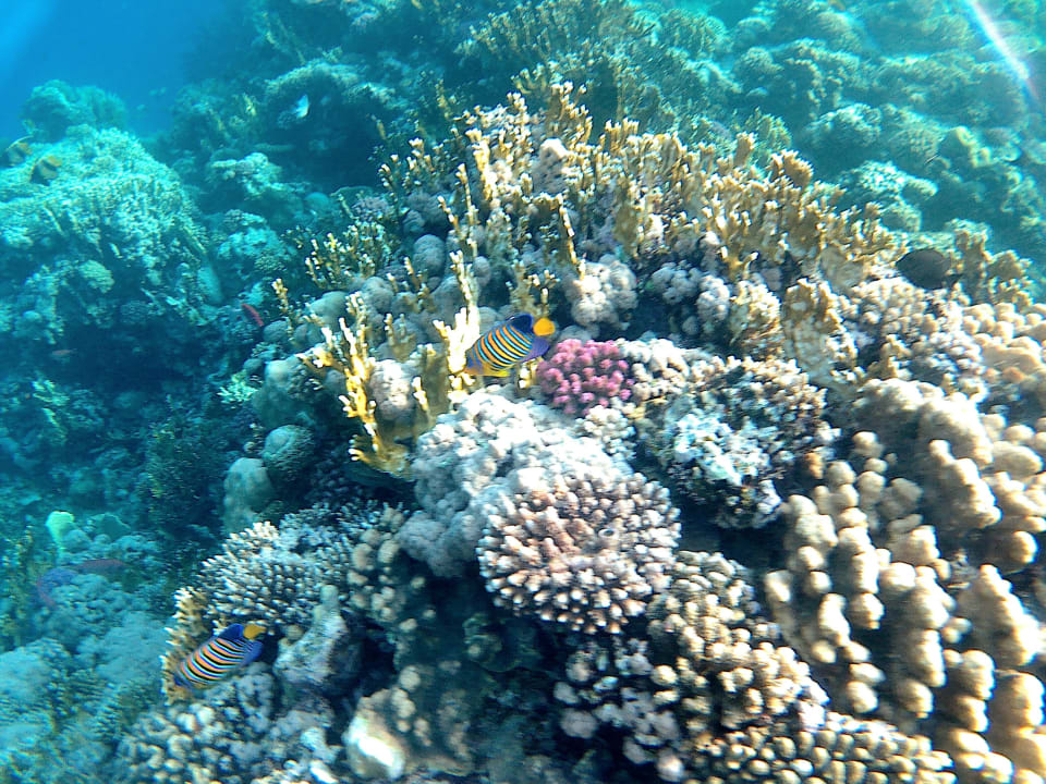 Strand Casa Mare Resort