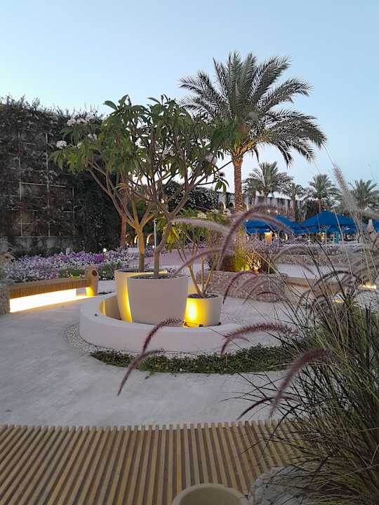 Gartenanlage Desert Rose