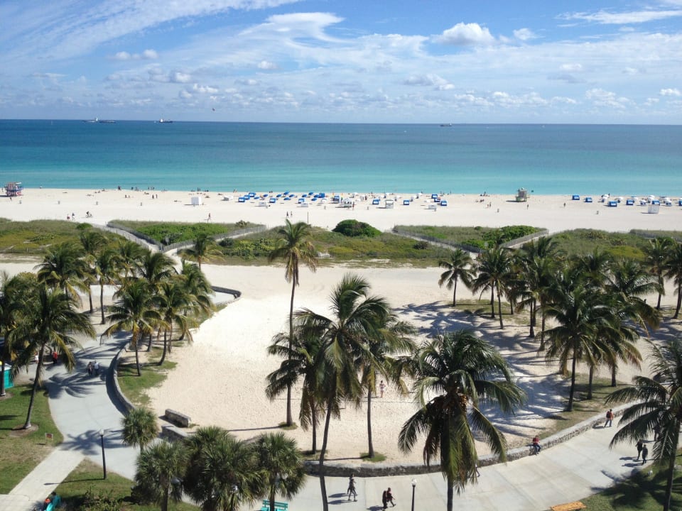 Ausblick vom Zimmer The Tides South Beach