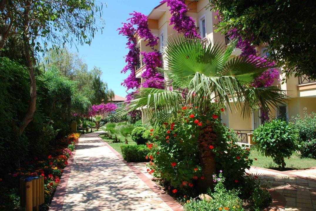 Weg zum Strand Club Dizalya