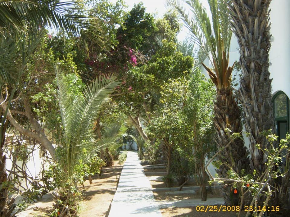 Gepflegte Anlage Hotel Sangho Club Zarzis