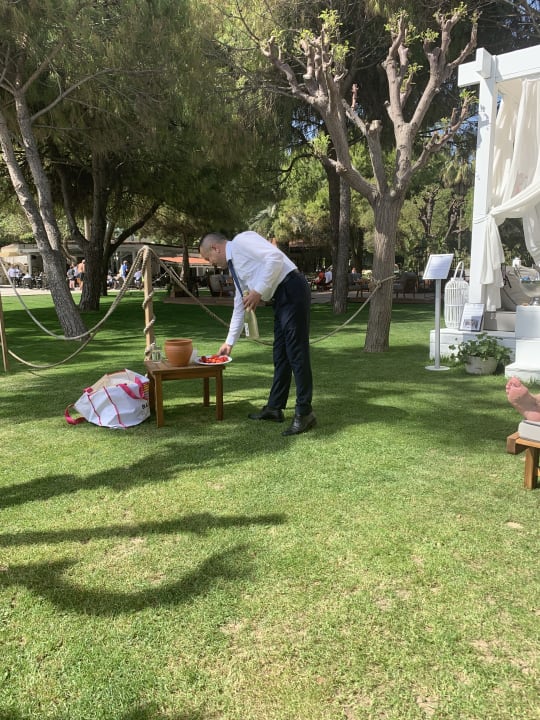 Sonstiges Barut Hemera