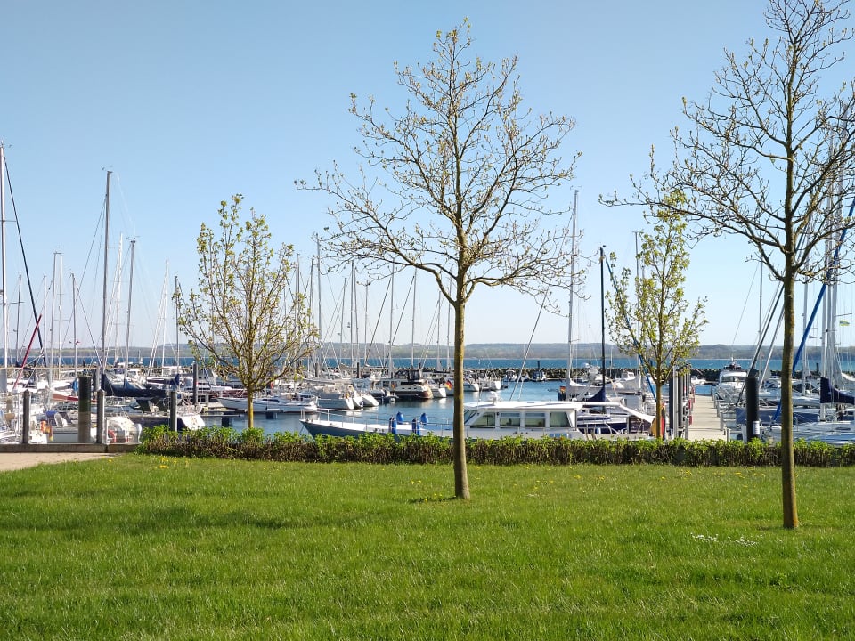 Ausblick Lindner Hotel Boltenhagen, part of JdV by Hyatt