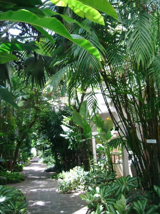 Auf der rechten Seite kleiner Fitnessraum Samui Natien Resort