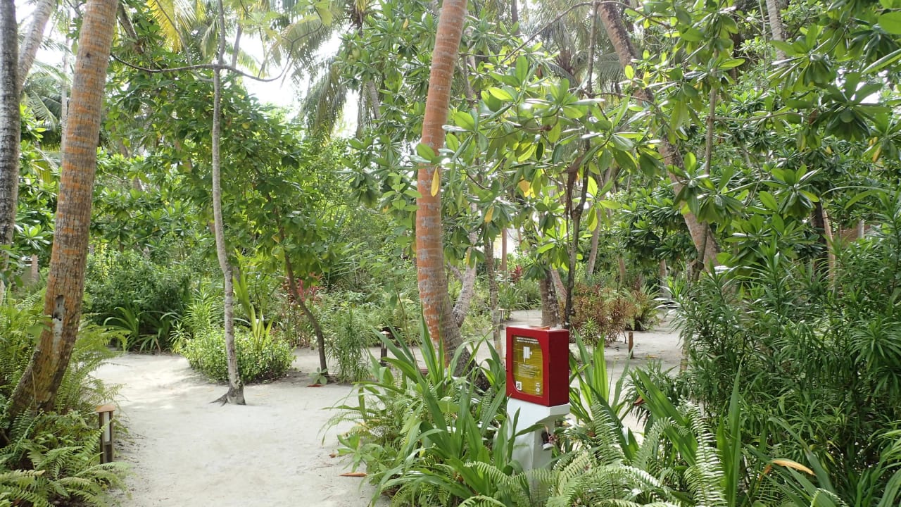 Inselmitte Vilamendhoo Island Resort & Spa