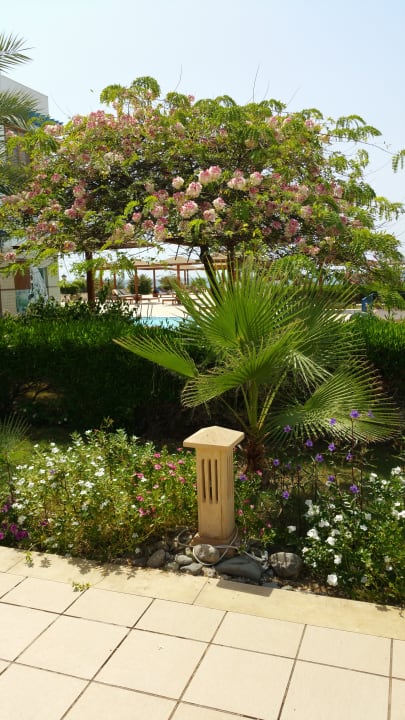 Gartenanlage Lahami Bay Beach Resort