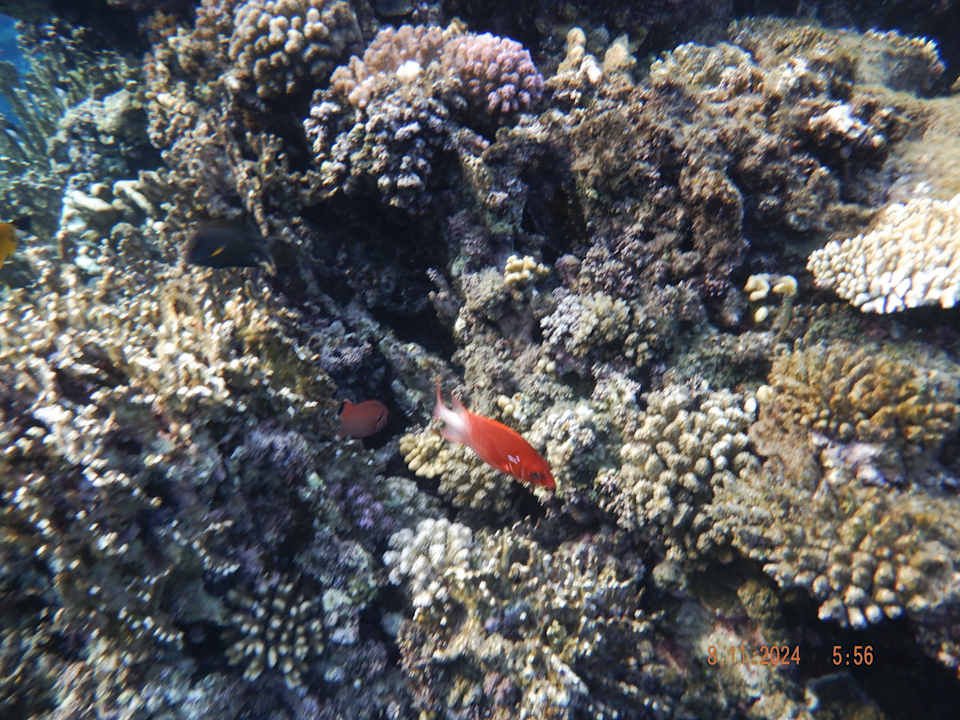 Strand Casa Mare Resort