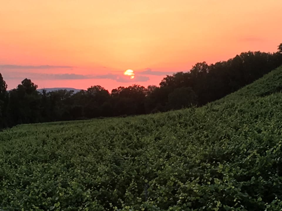 Ausblick Hotel Fischerhaus Garni