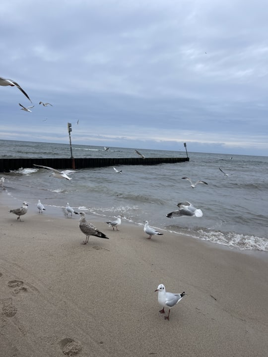 Strand Marine & Ultra Marine