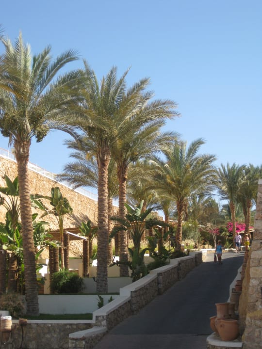 Der Weg zum Strand SENTIDO Reef Oasis Resort