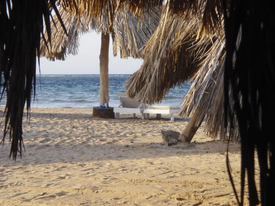 Liegenblick zum Meer Utopia Beach Club