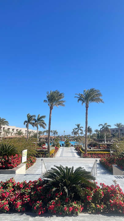 Außenansicht Steigenberger Resort Ras Soma