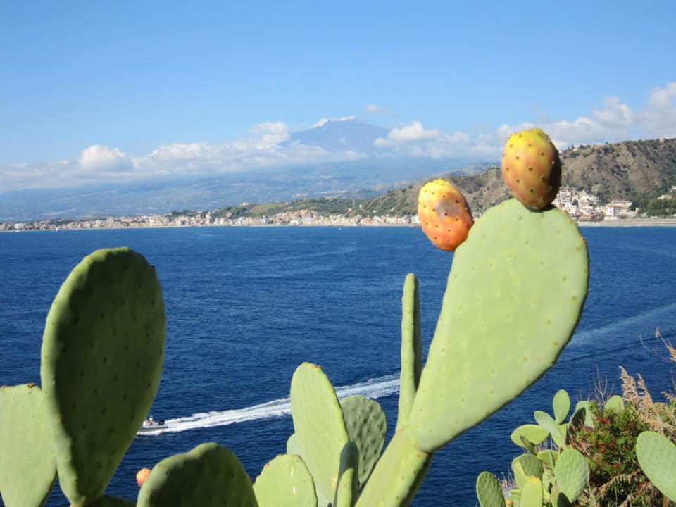 Am Felsen oberhalb des Pools UNAHOTELS Capotaormina