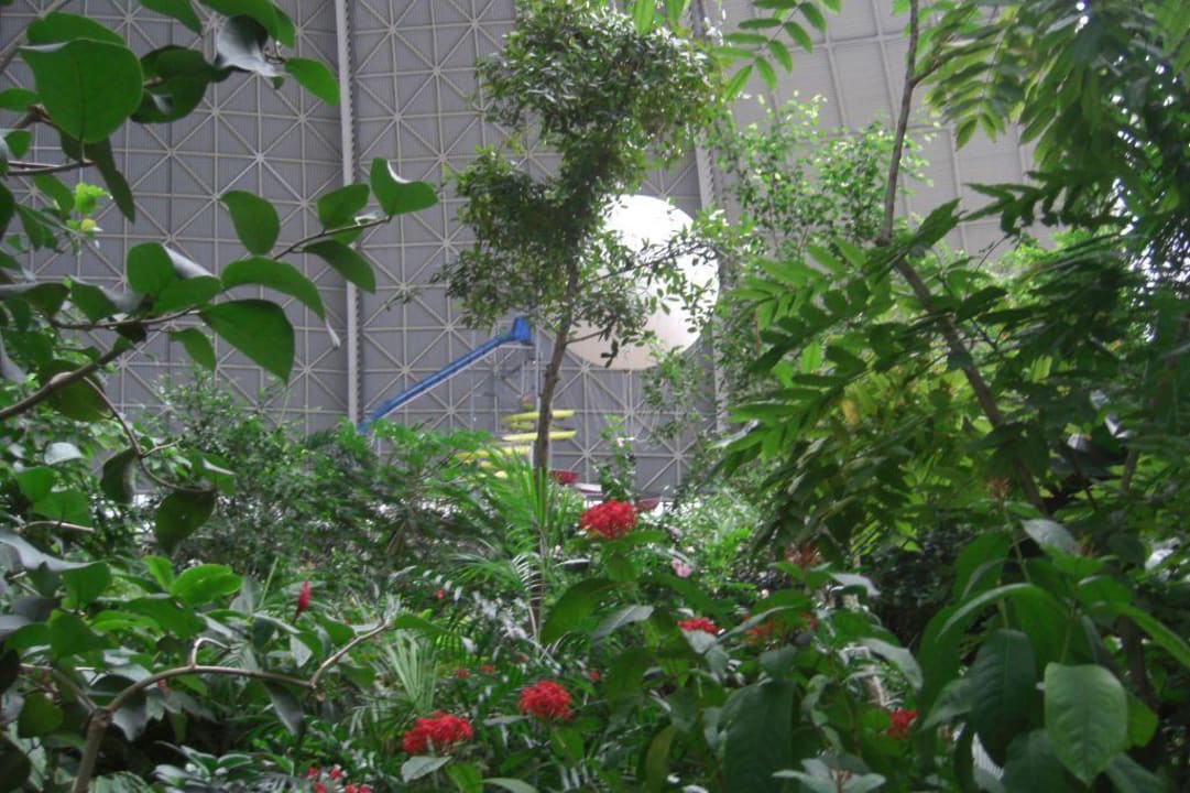 Tropenwald Tropical Islands Resort