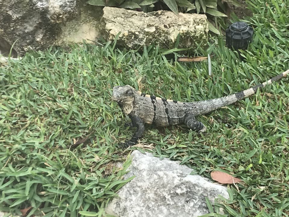 Sonstiges Grand Palladium Kantenah Resort & Spa