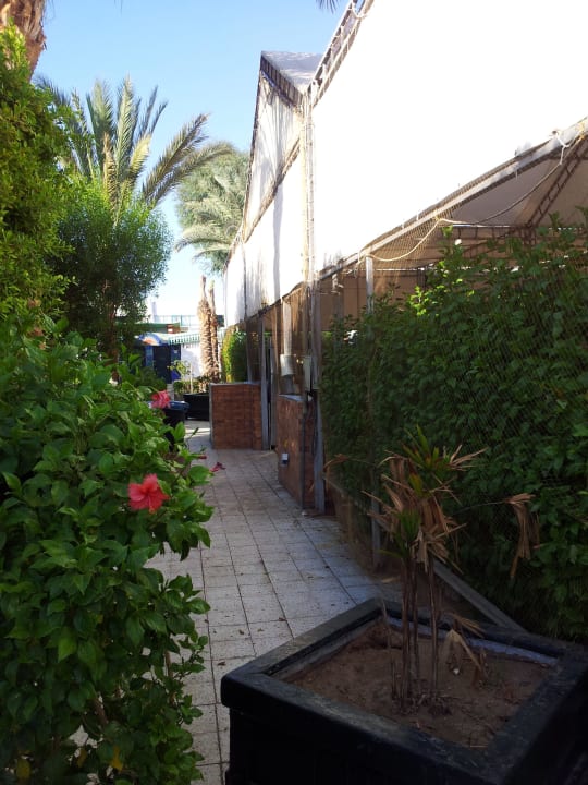 Der Vogelkäfig von Aussen Ghazala Beach