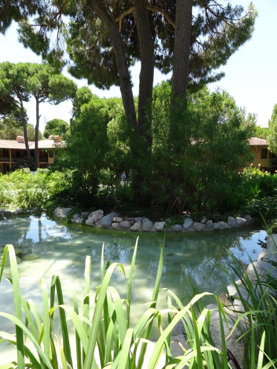 Beim Ruhepool Asteria Family Belek