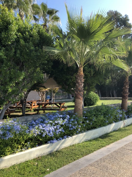 Gartenanlage Barut Hemera