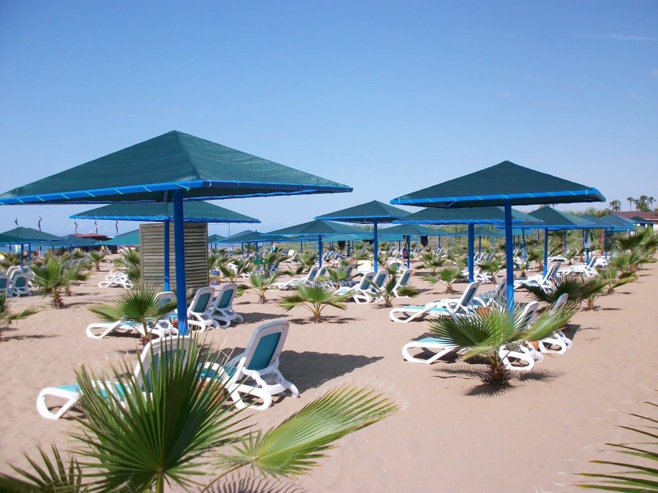 Viel Platz Paloma Oceana