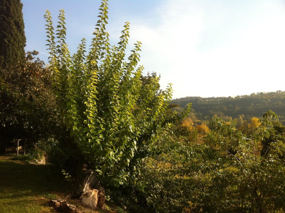 Von der Terrasse der Ausblick Poiano Resort - Apartments