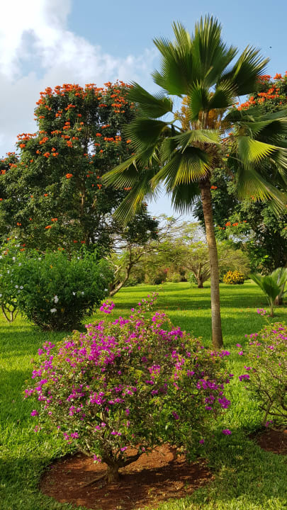 Gartenanlage Neptune Pwani Beach Resort & Spa