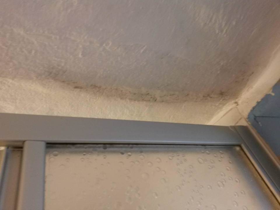 Mmmh leckaa Schimmel Ferienhof Mittenmang