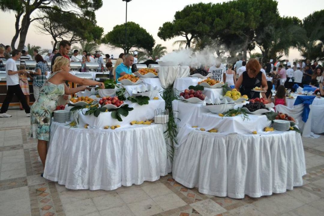 Gala Abend  Papillon Ayscha